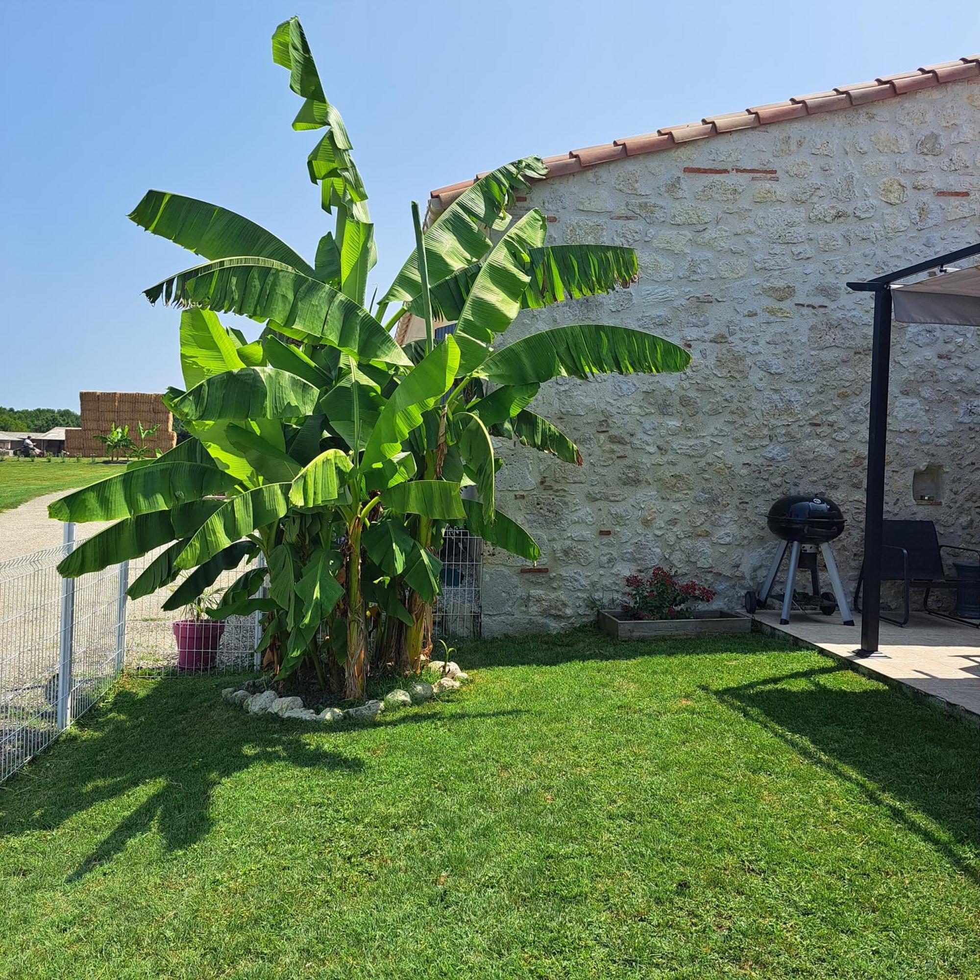 Le Domaine Vesque Villa Saint-Pierre-de-Clairac Exterior foto